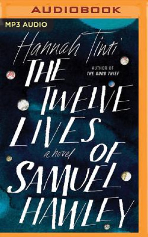 Audio The Twelve Lives of Samuel Hawley Hannah Tinti