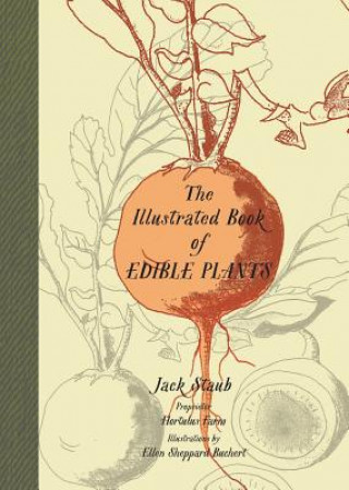 Kniha Illustrated Book of Edible Plants Jack Staub