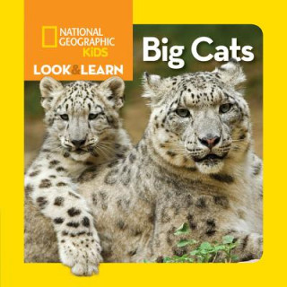Carte Look and Learn: Big Cats National Geographic Kids