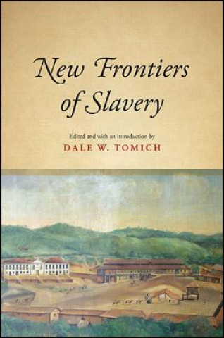 Könyv New Frontiers of Slavery Dale W. Tomich