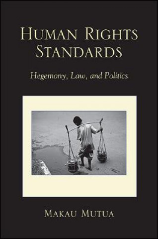 Könyv Human Rights Standards: Hegemony, Law, and Politics Makau Mutua