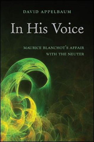 Buch IN HIS VOICE David Appelbaum