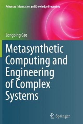 Książka Metasynthetic Computing and Engineering of Complex Systems Longbing Cao