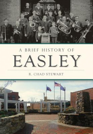 Buch A Brief History of Easley Chad Stewart