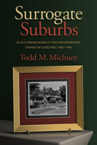 Boek Surrogate Suburbs Todd Michney