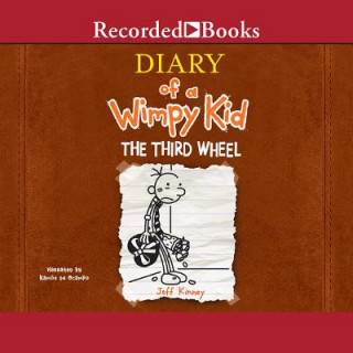 Audio DIARY OF A WIMPY KID THE 3RD D Ramon Ocampo