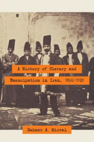 Carte History of Slavery and Emancipation in Iran, 1800-1929 Behnaz A. Mirzai