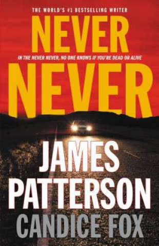 Audio NEVER NEVER                  M James Patterson
