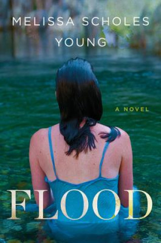 Buch Flood Melissa Scholes Young