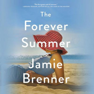 Аудио The Forever Summer Jamie Brenner