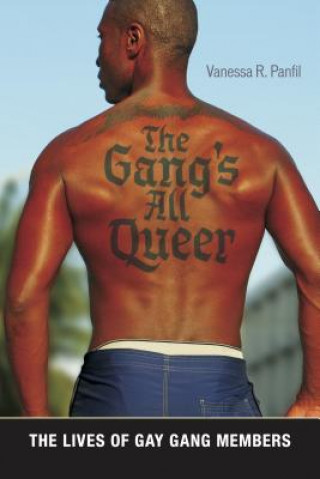 Könyv Gang's All Queer Vanessa R. Panfil