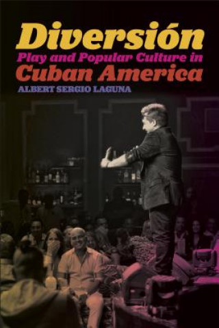 Buch Diversion Albert Sergio Laguna