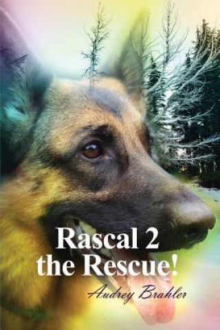 Buch RASCAL 2 THE RESCUE Audrey Brahler