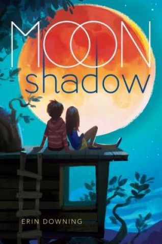 Kniha Moon Shadow Erin Downing