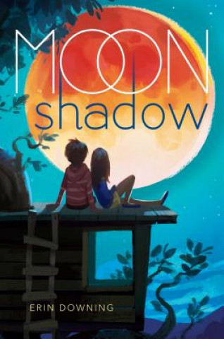 Buch Moon Shadow Erin Downing