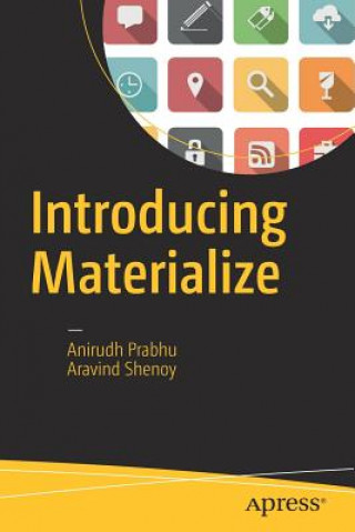 Book Introducing Materialize Anirudh Prabhu