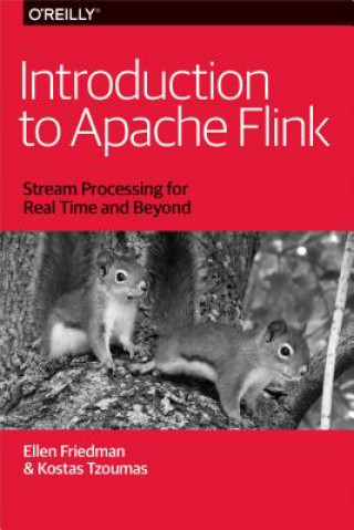 Könyv Introduction to Apache Flink Ellen Friedman