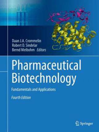 Könyv Pharmaceutical Biotechnology Daan J. A. Crommelin