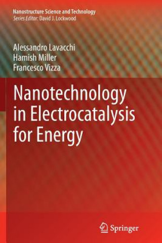 Könyv Nanotechnology in Electrocatalysis for Energy Alessandro Lavacchi