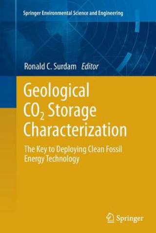 Kniha Geological CO2 Storage Characterization Ronald C. Surdam