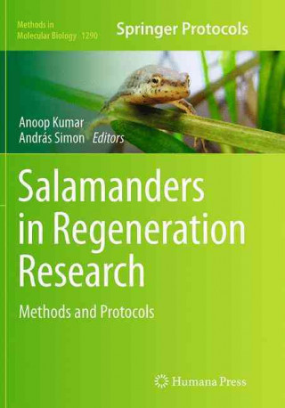 Könyv Salamanders in Regeneration Research Anoop Kumar