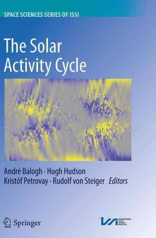 Kniha Solar Activity Cycle Andre Balogh