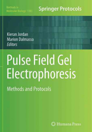 Kniha Pulse Field Gel Electrophoresis Kieran Jordan