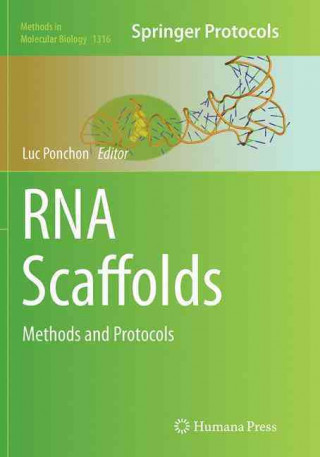 Kniha RNA Scaffolds Luc Ponchon