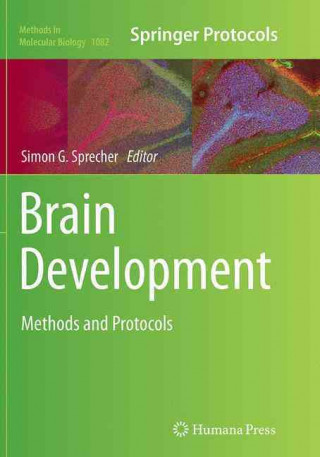 Buch Brain Development Simon G. Sprecher