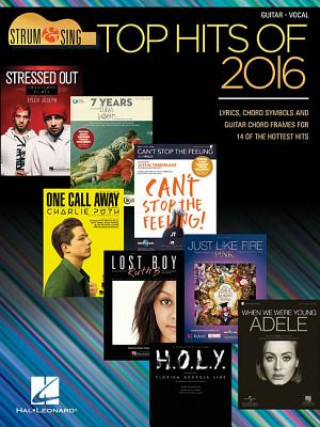 Kniha TOP HITS OF 2016 Hal Leonard Corp