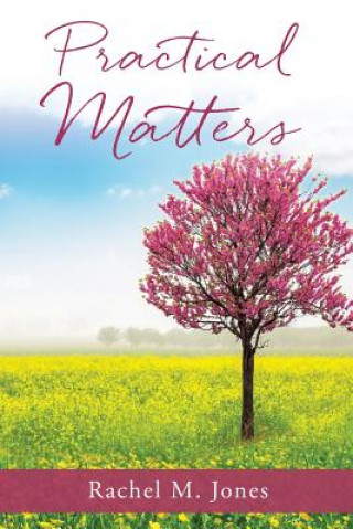 Kniha Practical Matters Rachel M. Jones