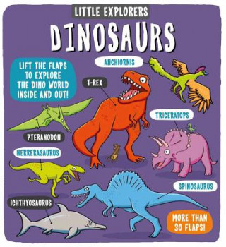 Könyv Little Explorers: Dinosaurs Ruth Martin
