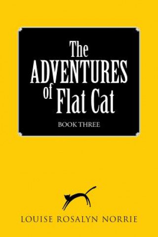 Book ADVENTURES of Flat Cat Louise Rosalyn Norrie