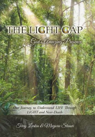 Knjiga Light GAP Terry Larkin