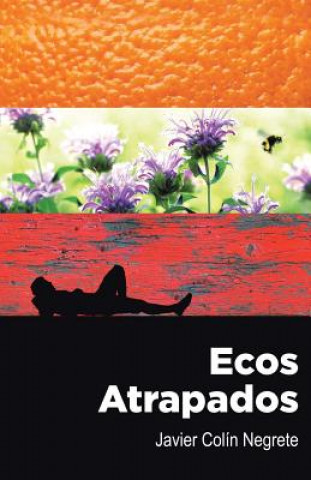 Buch Ecos atrapados Javier Colin Negrete