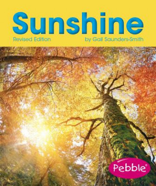 Knjiga Sunshine Gail Saunders-Smith