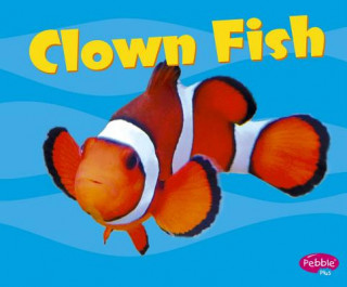 Könyv Clown Fish Carol K. Lindeen