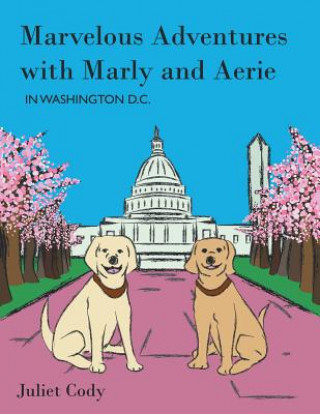 Könyv Marvelous Adventures with Marly and Aerie in Washington D.C. Juliet Cody