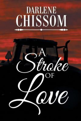 Knjiga Stroke of Love Darlene Chissom