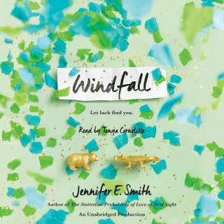Audio Windfall Jennifer E. Smith