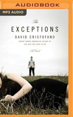 Digital EXCEPTIONS                   M David Cristofano