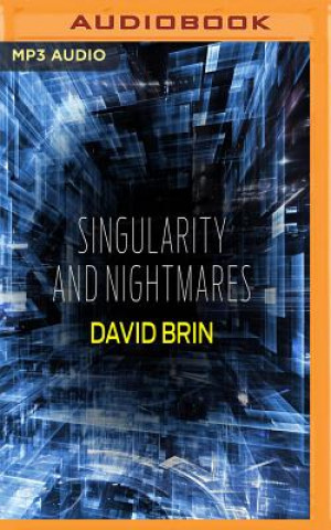 Digital SINGULARITY & NIGHTMARES     M David Brin