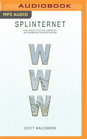 Digital Splinternet: How Geopolitics and Commerce Are Fragmenting the World Wide Web Scott Malcomson