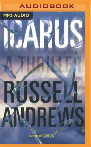 Digital Icarus Russell Andrews