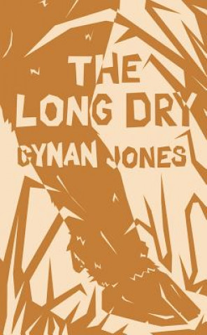 Książka The Long Dry Cynan Jones