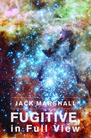 Kniha Fugitive, in Full View Jack Marshall
