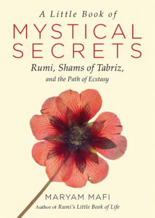 Kniha Little Book of Mystical Secrets Maryam Mafi
