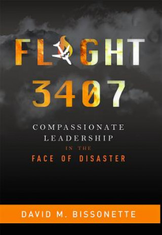 Книга FLIGHT 3407 David M. Bissonette