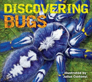 Kniha Discovering Bugs: Meet the Coolest Creepy Crawlies on the Planet Julius Csotonyi