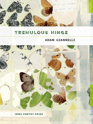 Книга Tremulous Hinge Adam Gianelli